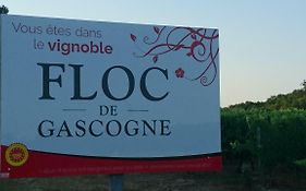 Domaine De Paguy